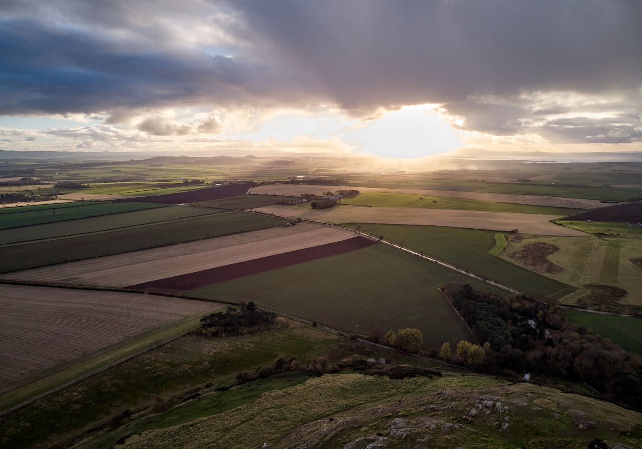 East Lothian Fields