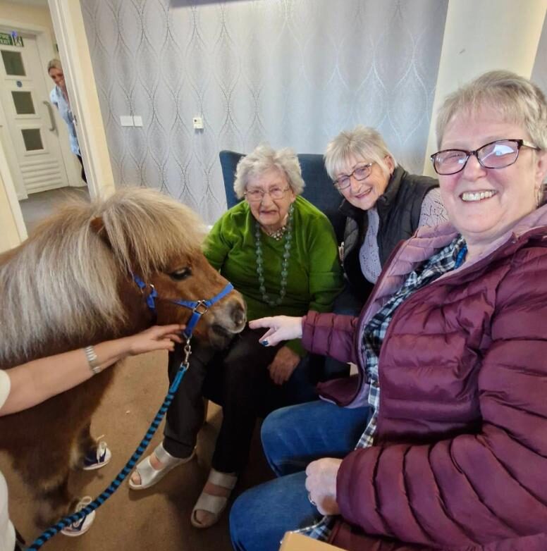 Pony pet therapy in care home