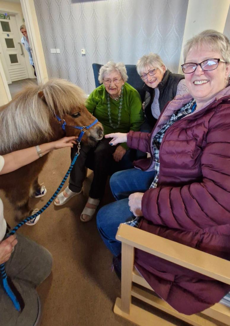 Residents smile with pet therapy pony