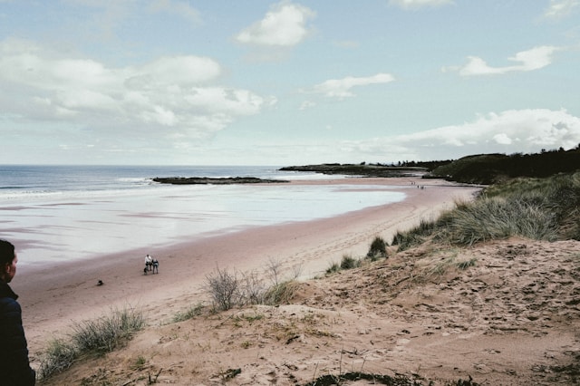 sandy beach in dunbar